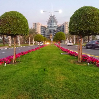 Dubai Silicon Oasis (DSO) Telegram Group Link