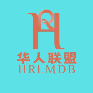 华人联盟机器人