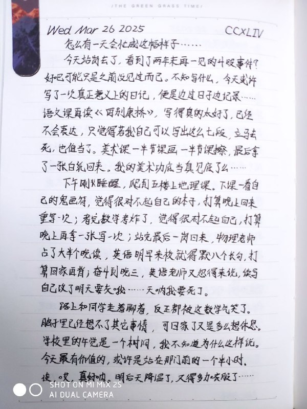 媒体预览