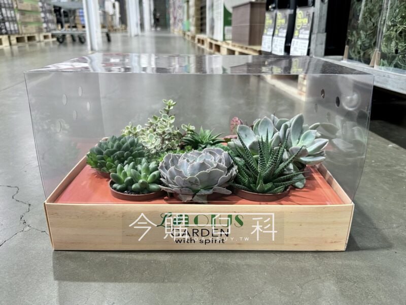 新品情報看這邊 