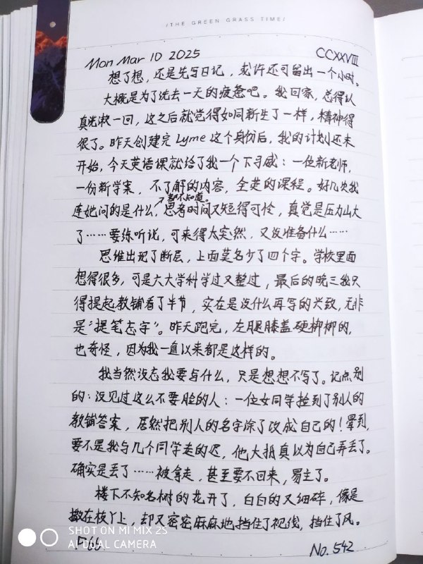 媒体预览