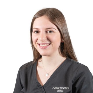 Nursing job 2022 Telegram Group Link