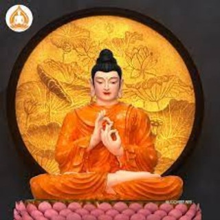 CẬU CHUNG ĐỌC LỆNH