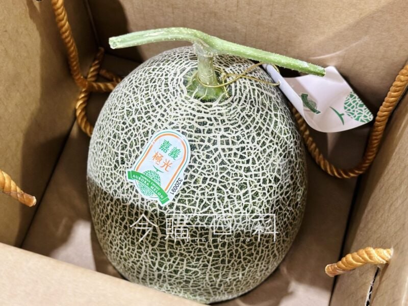 新品情報看這裡 