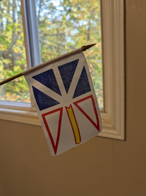 造化確實弄人，你永遠不知道命運會把你帶去何方，就好像我現在仍在納悶怎麽自己突然間已經搬回紐國在住了