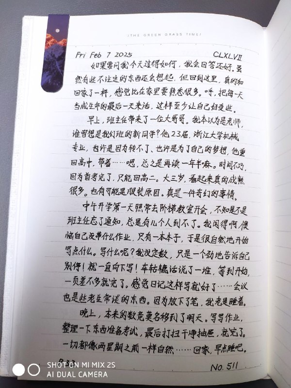 媒体预览