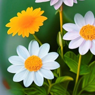 Bangalore friends group Telegram Group Link