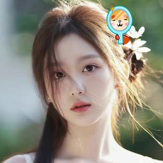 婉婉的男友团