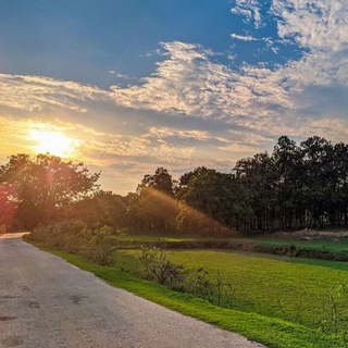 Mobile Photography 📸 ✔️ Telegram Group Link