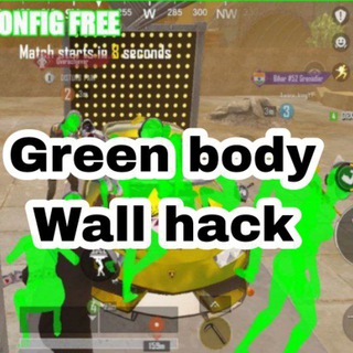 Pubg green body wall hack 🔸 Global BGMI korean kr vietnam Vng TAIWAN red yellow white pink blue green ️