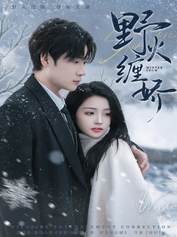 野火缠娇（66集）胡金池＆刘苗苗