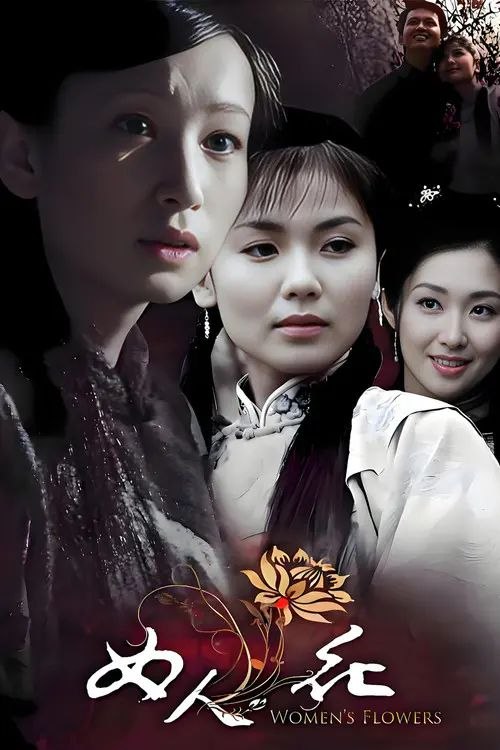 名称：女人花 (2008) 4K 全集