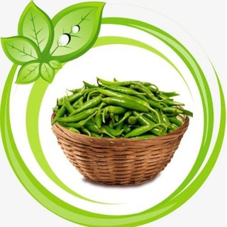 GREEN CHILLI ENTERTAINMENT Telegram Group Link