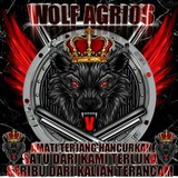 SHIT POST WOLF AGRIOS