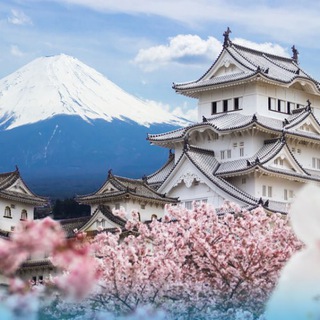 Andrey Shipin Telegram Group Link