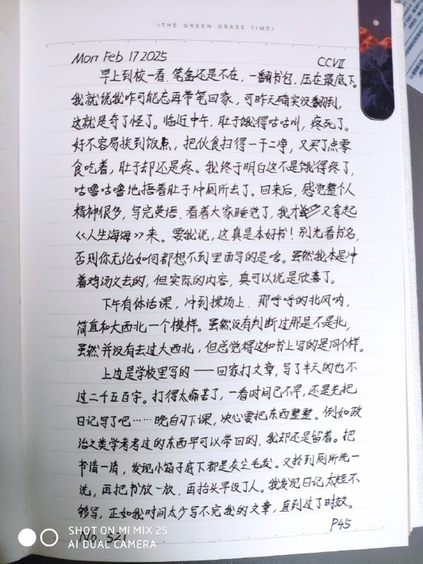 媒体预览
