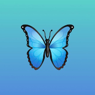 Telegram: Contact @FTQI1 Telegram Group Link