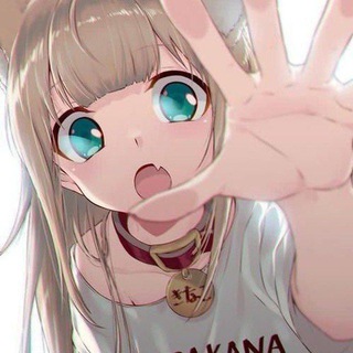 Telegram profile photo for FY
