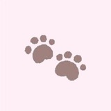 ₍⑅^ ♡ 🎀 𝓚 iㅜꫀn ℓitꫀrαc𝔂. 🐾 ^₎