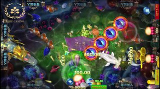 👌 ⚡⚡ 👌娱乐场直营平台 😂😂 👌👌👌👌👌👌 😂😂 😀👌😂😂 😂😂😂 👌👌👌👌👌👌👌👌👌🥳😀😀😀😀😀😀😀😀😀😀😀🀄️🀄️🀄️ 经典爆款【🐊捕鱼游戏（鳄鱼版）】隆重上线极致还原的紧张刺激，看准时机，猛击冒头的鳄鱼！比拼极限反应，专治各种不服。看看谁是真正的“鳄鱼猎手”？随时开局，快来挑战你的最高分！更有彩池累积大奖等你来爆大奖！——————————————————线上真人视讯游戏类型：                    😀😀😀😀😀😀😀😀😀😀😀😀😀😀😀😀😀😀😀😀😀😀😀😀😀😀😀———————————————