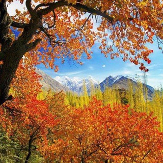 Travelog ET - Group Tour Telegram Group Link