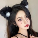 深圳龙华小野猫.半果抓龙筋疗愈型