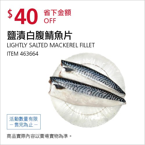優惠情報 