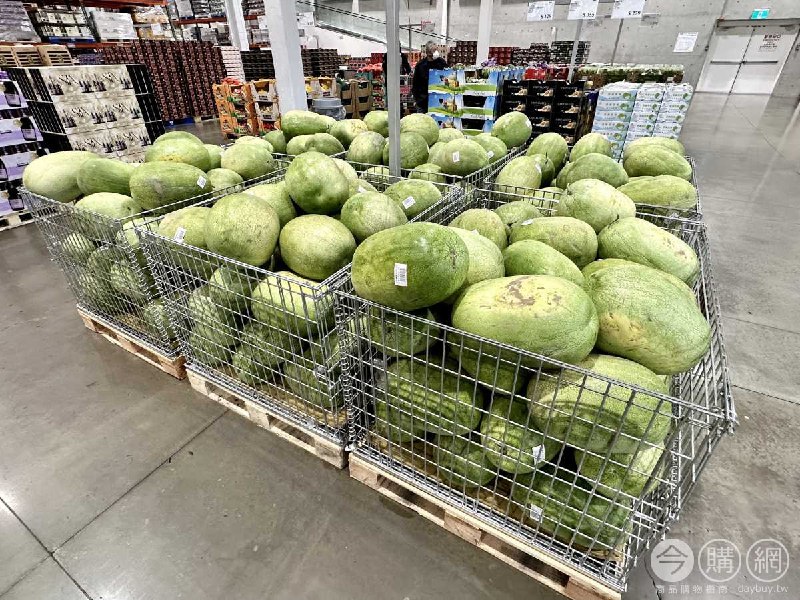 完整情報 