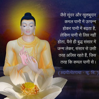 ☸️🌼DHAMMA DANA🌼☸️