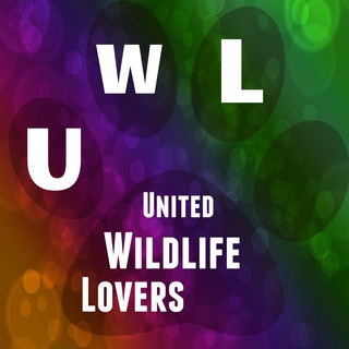 UWL - United Wildlife Lovers Telegram Group Link