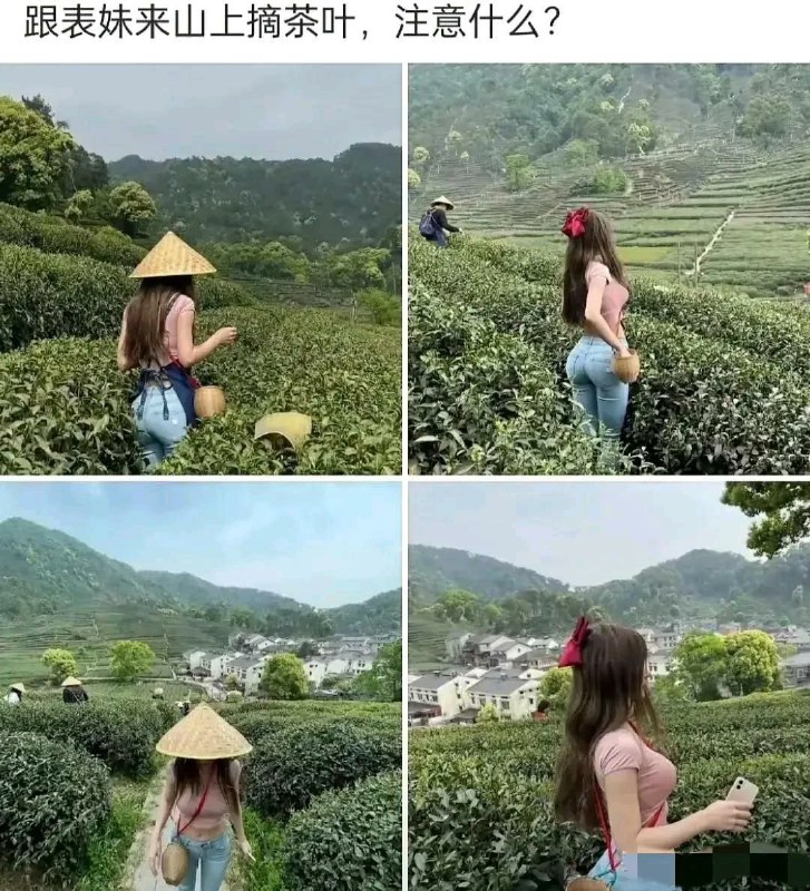卖点自家的茶叶和其他农副产品，有需要的可以看看