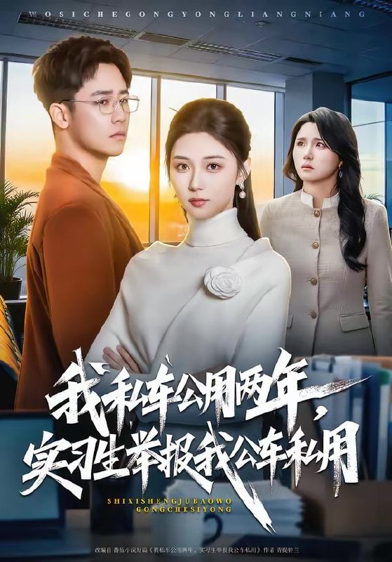 我私车公用两年，实习生举报我公车私用（63集）程雅昭＆车婷婷