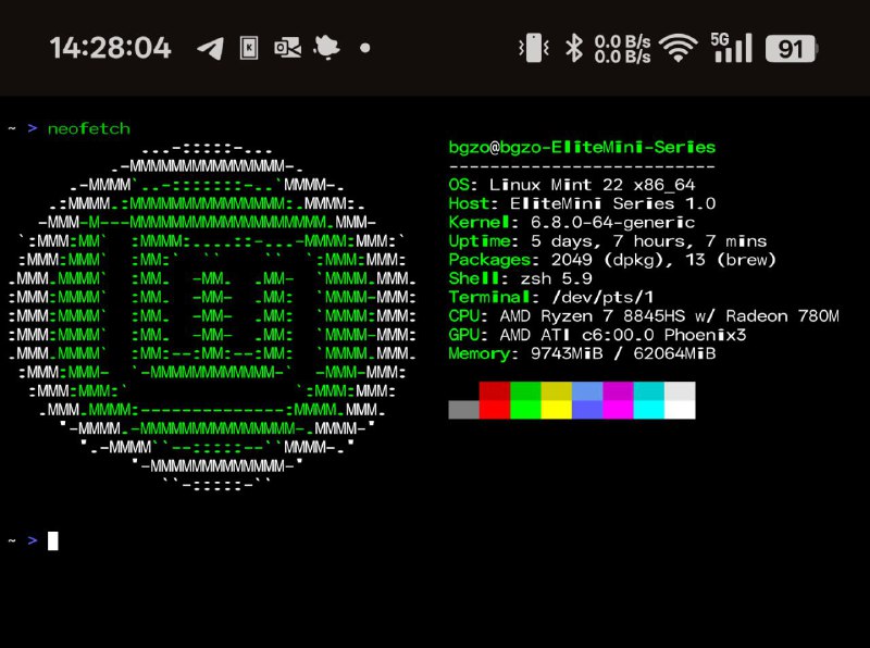 节前阿里云买了台ESC，用FRP穿回家了，这下可以安心回家了