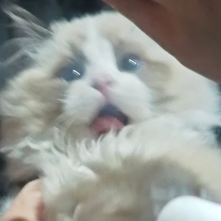 赫兹交流频道