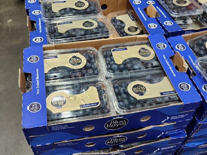 完整情報連結 