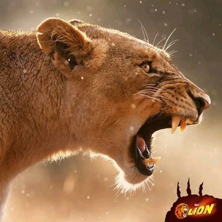 🔥🔥🔥 IPL . INDIAN PRIMIER LEAGUE CRICKET MATCH /TOSS/ PREDICATION FIX NO MONEY LOSS /CUT LOSS Telegram Group Link