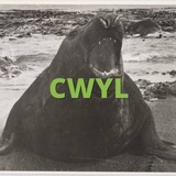 @ Cwyl