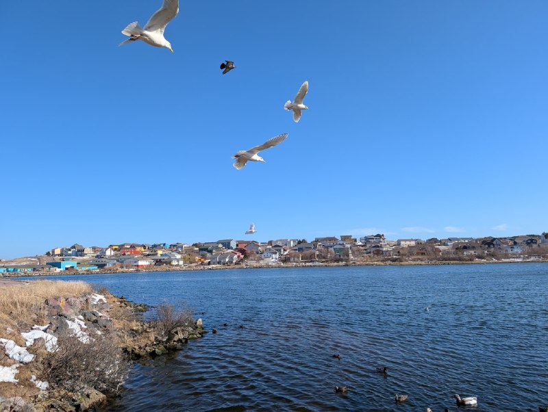 我原本也以為 Saint-Pierre-et-Miquelon 就是一群講法語的紐芬蘭漁民，實際探訪後發現自己又刻板印象了