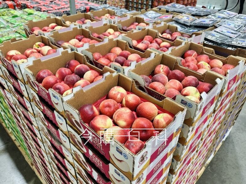 新品完整情報 