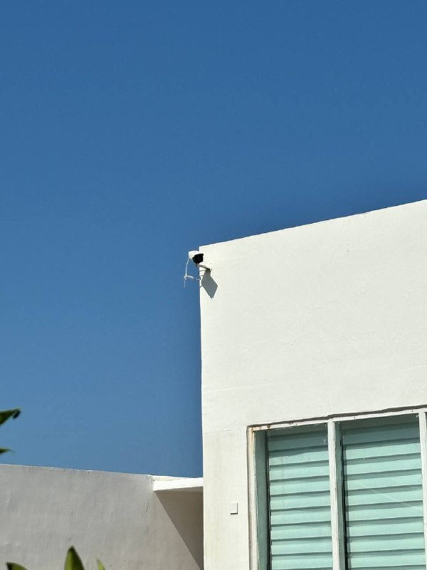 #旅游 烟台 养马岛音乐节#旅游 烟台 养马岛音乐节