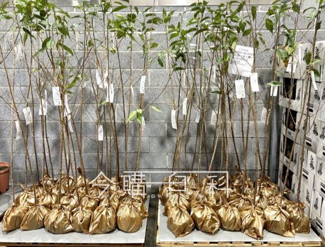 新品情報看這裡 