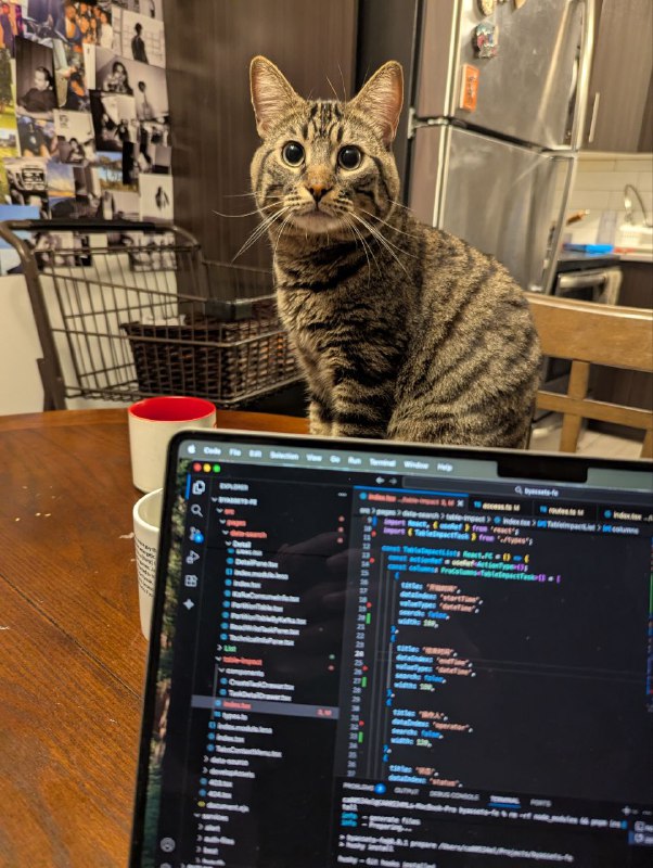 欲說還休，欲說還休