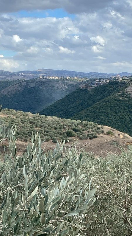 דחוף: הפגזה ארטילרית ישראלית מכוונת לוואדי אל-חוג'יר, בדרום לבנון.