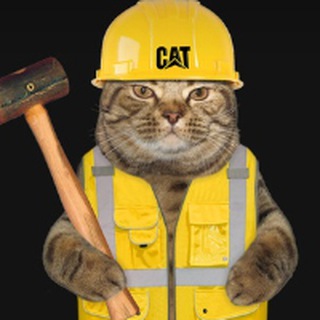 CONSTRUCTION CAT CTO!!