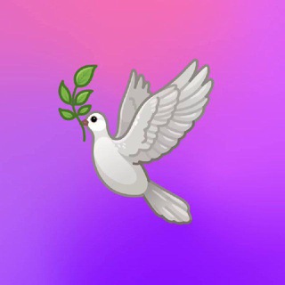 MultiDW || Insta Facebook Twitter TikTok Telegram Group Link