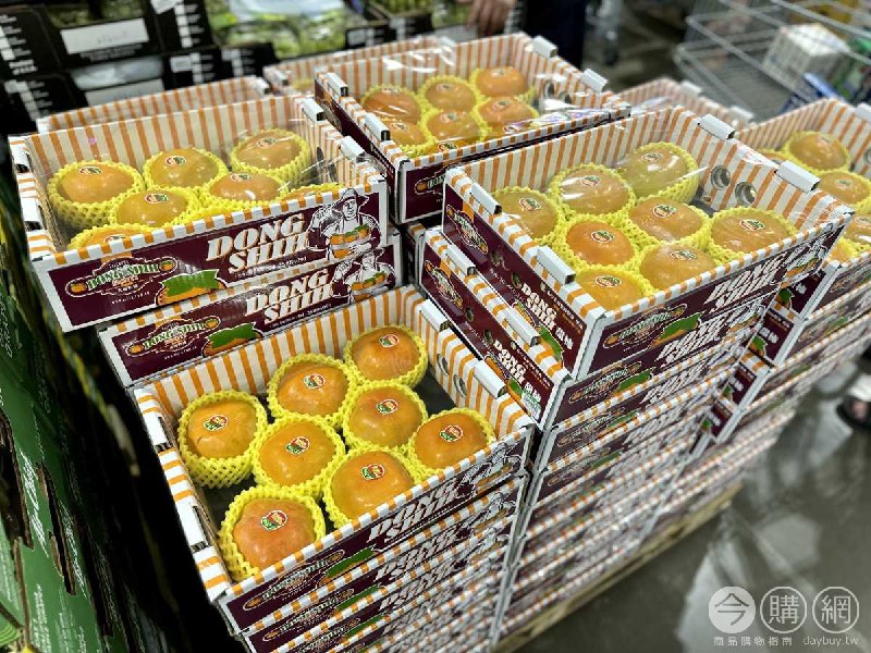新品完整情報 