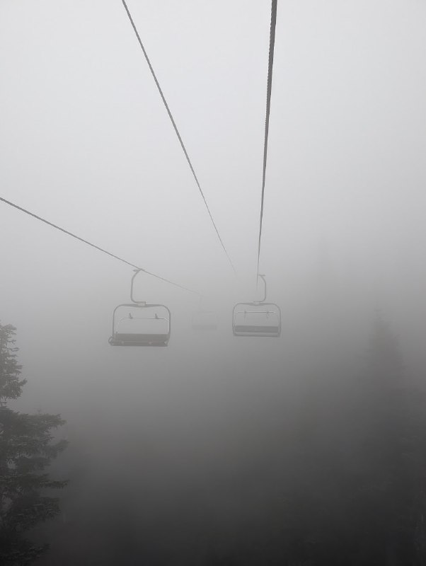 松雞山上無松雞，只有雉雞
