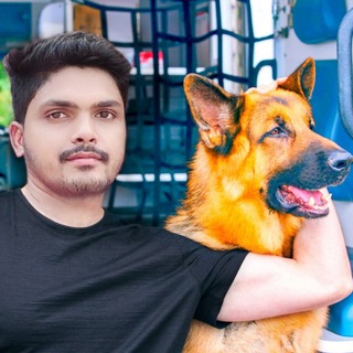 Royal Dogi Telegram Group Link