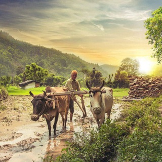 𝙱.𝚂𝚌 𝙰𝚐𝚛𝚒𝚌𝚞𝚕𝚝𝚞𝚛𝚎 𝙰𝚕𝚕 𝚂𝚎𝚖𝚎𝚜𝚝𝚎𝚛 𝙽𝚘𝚝𝚎𝚜 Telegram Group Link