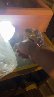 扫黑除恶，抓的就是这些傻逼